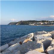 Insegnante inglese impartisce lezioni per alunni/studenti delle scuole medie inferiori e superiori. Conversazione. Traduzioni